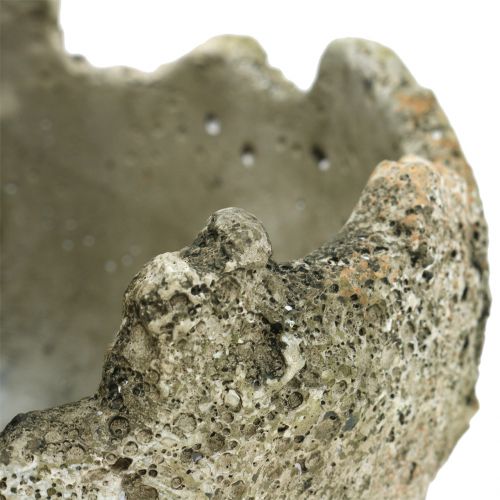 Floristik24 Betonbal voor het planten van Ø15cm H13.5cm