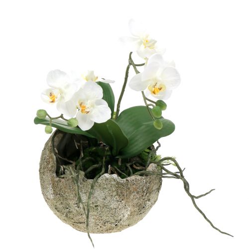 Floristik24 Betonbal voor het planten van Ø15cm H13.5cm
