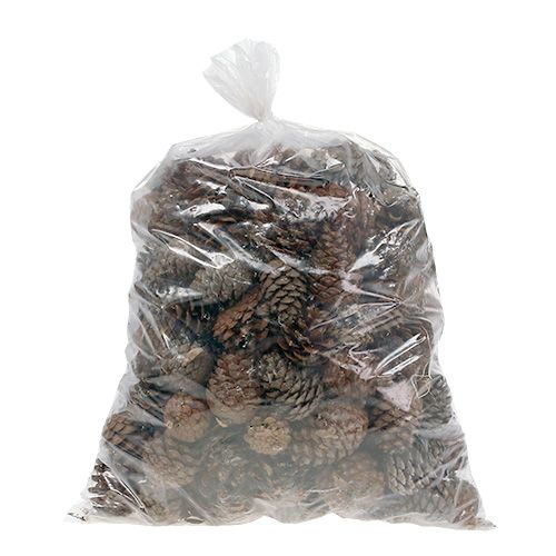 Artikel Halepensis kegels naturel 5kg