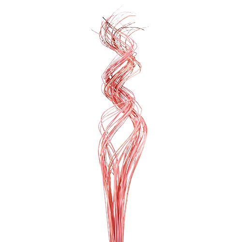Half Curly Willow 100cm Roze 30st Half Curly Willow 100cm Roze 30st