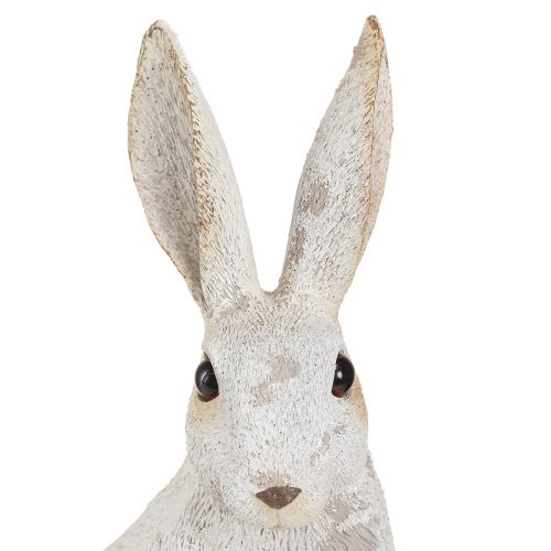 Floristik24 Decoratief konijntje zitfiguur Paashaas Shabby Chic 12×9×25cm