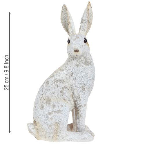 Floristik24 Decoratief konijntje zitfiguur Paashaas Shabby Chic 12×9×25cm
