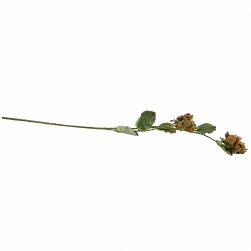 Floristik24 Hazelnoottak groen / bruin 84cm