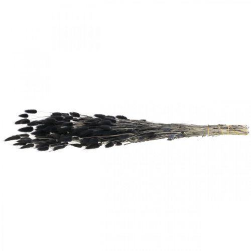 Artikel Hazenstaartgras Lagurus Gedroogd Zwart 60cm 50g