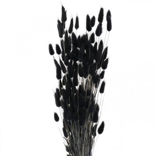 Artikel Hazenstaartgras Lagurus Gedroogd Zwart 60cm 50g