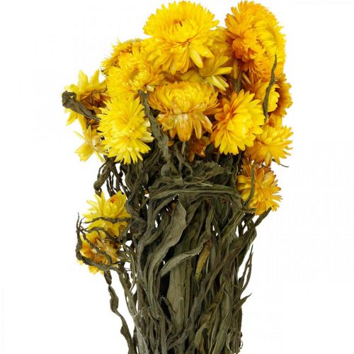Artikel Strobloem gele gedroogde gedroogde bloemen decoratieve bos 75g