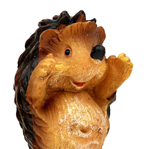 Floristik24 Herfstdecoratie egel mix 6cm bruin 6st