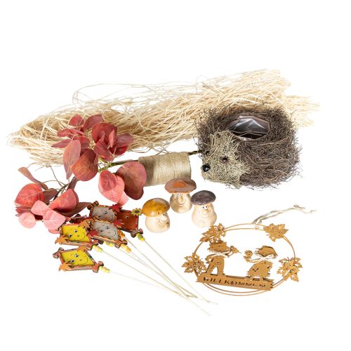 Herfstdecoratieset egel paddenstoelen draak – koop decoratiebox goedkoop