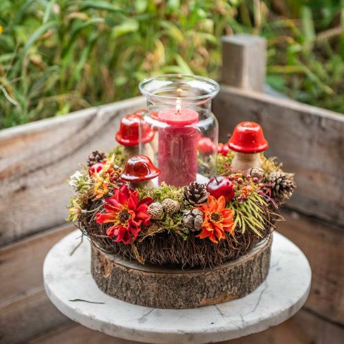 Floristik24 Herfstdecoratie deco paddestoelen van hout Rode houten paddestoelen H5-7cm 6 stuks