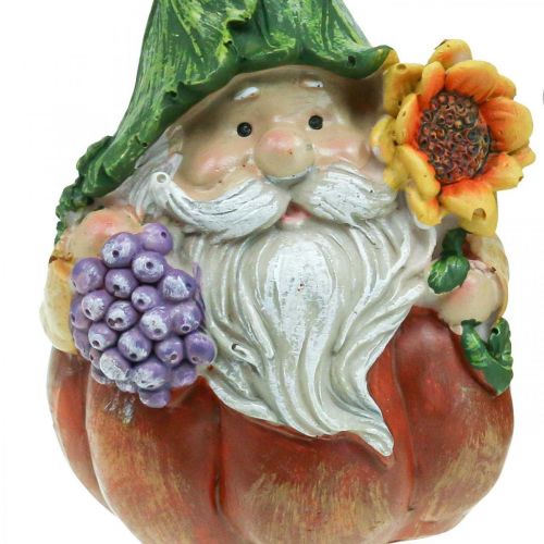 Floristik24 Herfst kabouter pompoen decoratie kabouter figuur assorti H11.5cm 2st