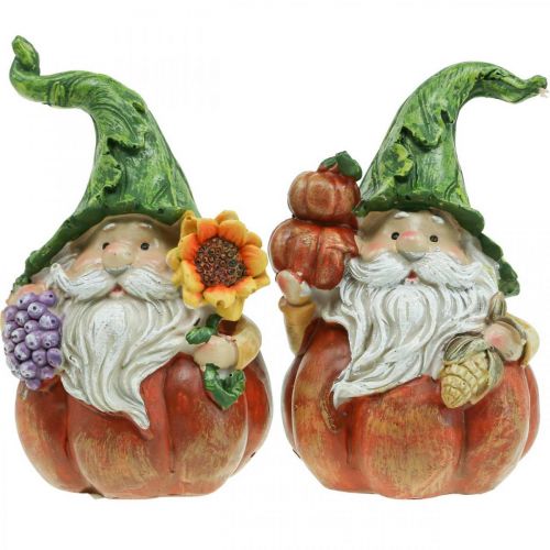 SAVITA 30 Stück Mini-Gnome Deko – Kleine Gartenzwerge Aus PVC, Mit Spitzen Hüten & Besen, Für Party-Dekoration
