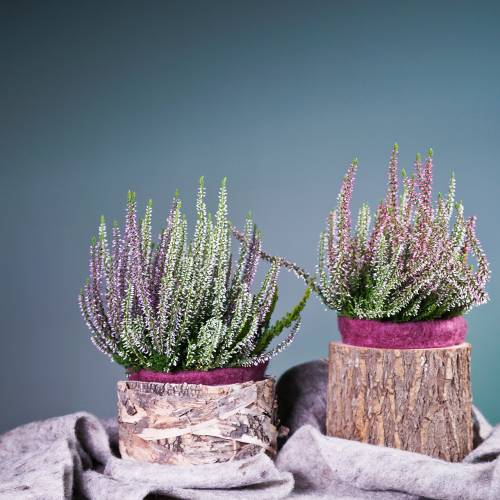 Floristik24 Bloempot iepenhout Ø16-18cm H15cm