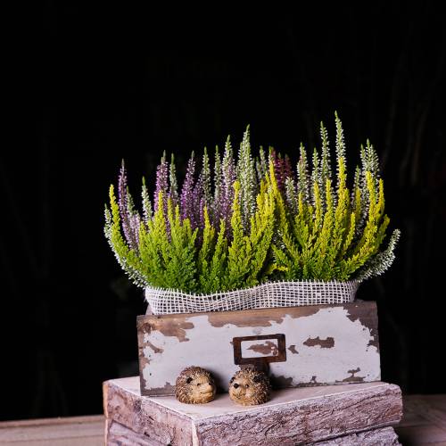 Floristik24 Plantenbak houten lade antiek grijs 27cm x 13cm