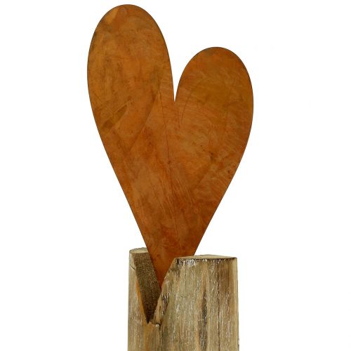 Floristik24 Hartroest op de houten basis 40cm x 20cm