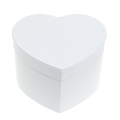 Floristik24 Hartendoos bloembak wit 14 / 16cm 2st