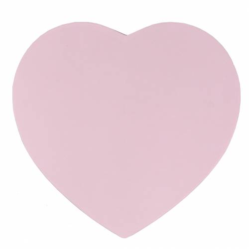 Floristik24 Bloembak hart roze Ø18/20cm set van 2