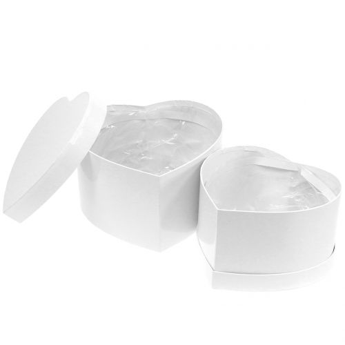 Floristik24 Hartvormige bloembak 18/20cm 2st