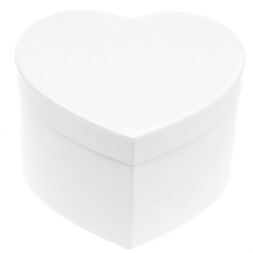 Floristik24 Hartvormige bloembak 18/20cm 2st