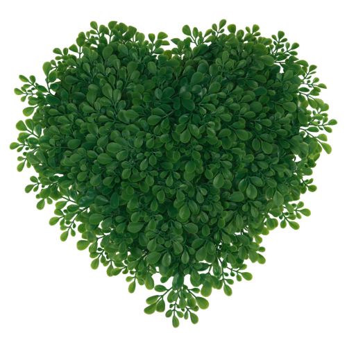 Artikel Decoratief hart buxus kunst siermat groen 30,5cm