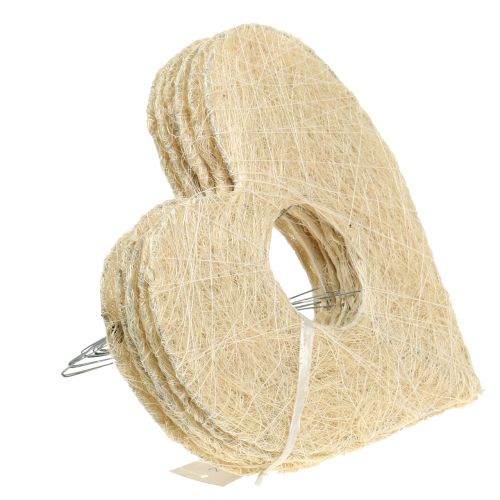 Floristik24 Hartmanchet sisal gebleekt 25cm 6st