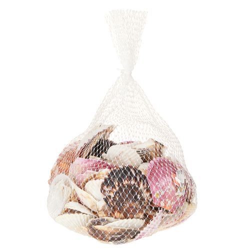 Artikel Lege kokkels in natuurlijke schelpdecoratie 3cm–5cm 300g