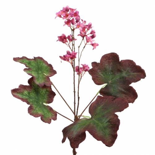 Floristik24 Purple Bells Heuchera Deco Tak Roze 44cm