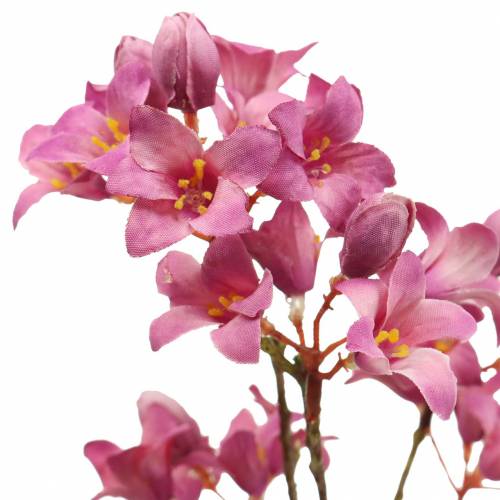 Floristik24 Purple Bells Heuchera Deco Tak Roze 44cm