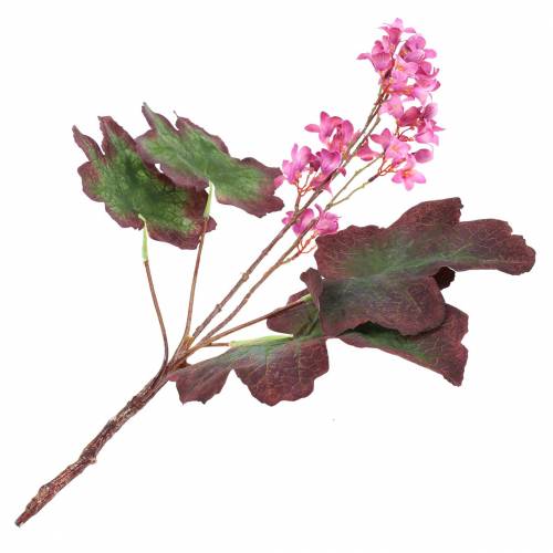 Floristik24 Purple Bells Heuchera Deco Tak Roze 44cm