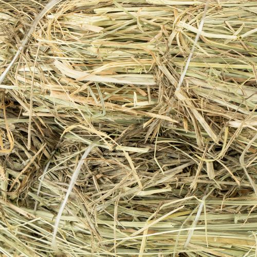 Artikel Hooikransen 31-32cm 5 stuks