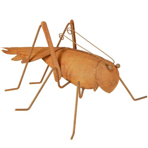 Grasshopper Tuindecoratie Roest Metalen Decoratie voor Staand 26cm