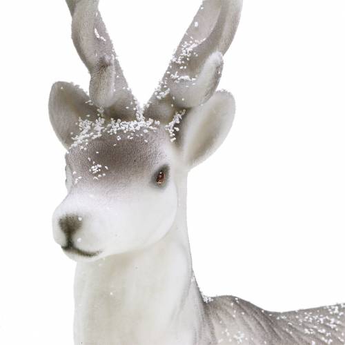 Floristik24 Decoratief hert gevlokt/gesneeuwd 39cm