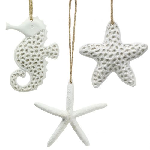 Floristik24 Decoratieve zeesterren hanger, zeepaard 12cm 3st