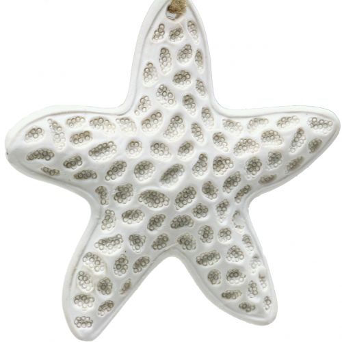Floristik24 Decoratieve zeesterren hanger, zeepaard 12cm 3st