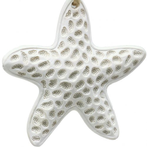 Artikel Decoratieve zeesterren hanger, zeepaard 12cm 3st