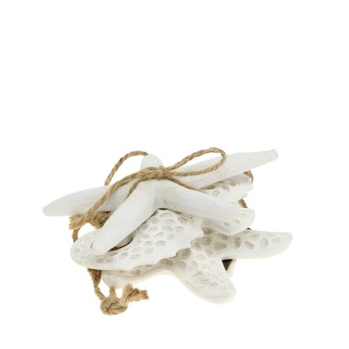 Floristik24 Decoratieve zeesterren hanger, zeepaard 12cm 3st