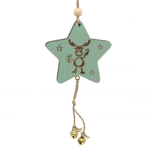 Floristik24 Hanger Ster Mint 7cm L20cm 12 st