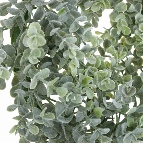 Floristik24 Bruiloft decoratie eucalyptus krans kunstmatig Ø25cm