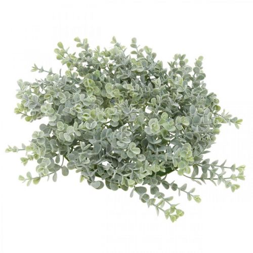 Floristik24 Bruiloft decoratie eucalyptus krans kunstmatig Ø25cm