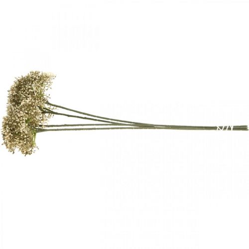 Floristik24 Kunst vlierbessen crème witte decoratieve bloesem tak 52cm 4st