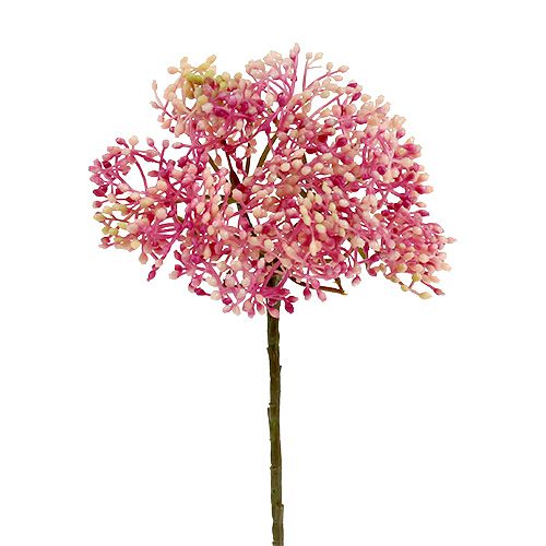 Floristik24 Vlierbloementak roze-wit L 55cm 4st