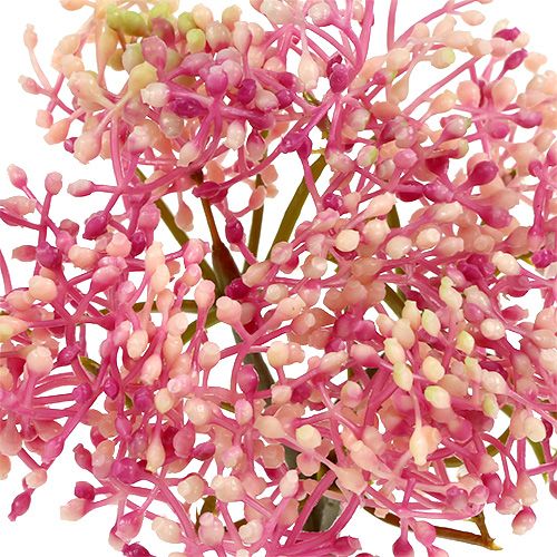 Floristik24 Vlierbloementak roze-wit L 55cm 4st