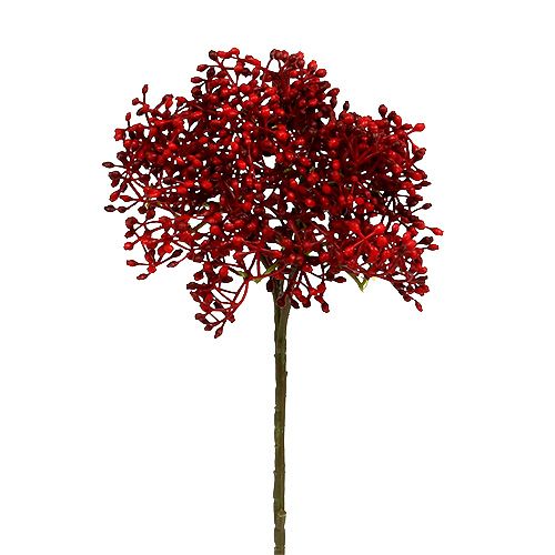 Floristik24 Vlierbloemtak rood 55cm 4st