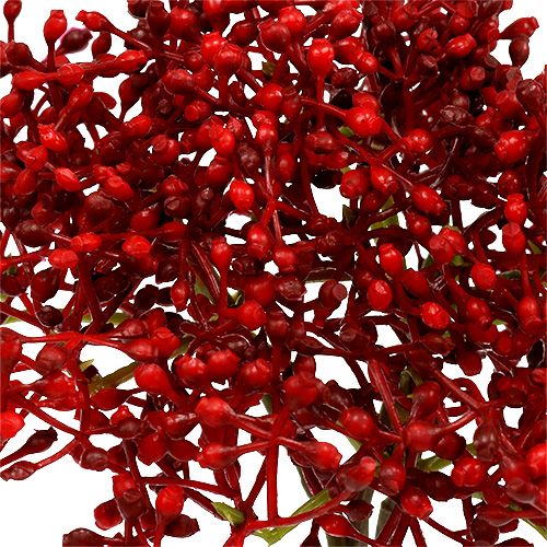 Floristik24 Vlierbloemtak rood 55cm 4st