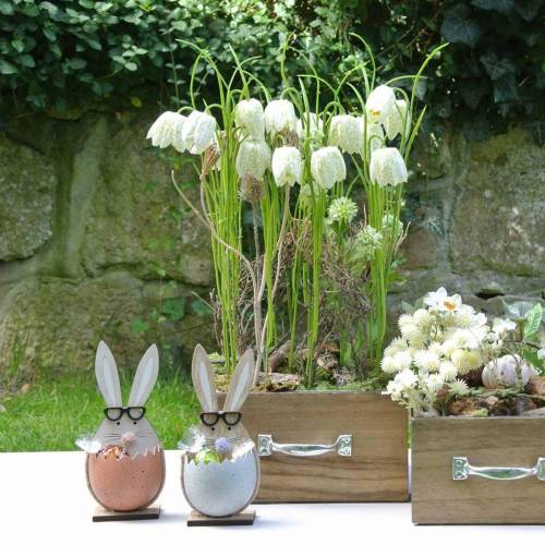 Artikel Houten konijn in een ei, lentedecoratie, konijnen met bril, paashazen 3st