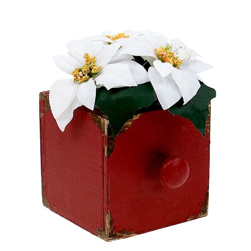 Floristik24 Houten doos, lade rood 9x9x9cm 1p
