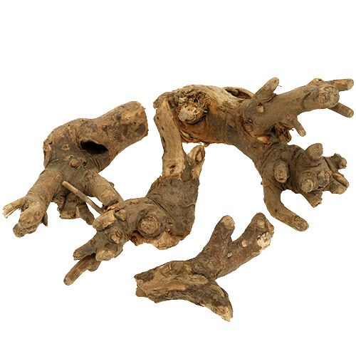 Floristik24 Houtwortels natuurlijke mix 500g