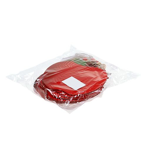 Floristik24 Krabappel om op te hangen 12,5cm rood 12st