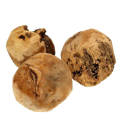 Floristik24 Houten bal dennenbol naturel Ø9cm 3 st