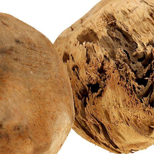 Floristik24 Houten bal dennenbol naturel Ø9cm 3 st