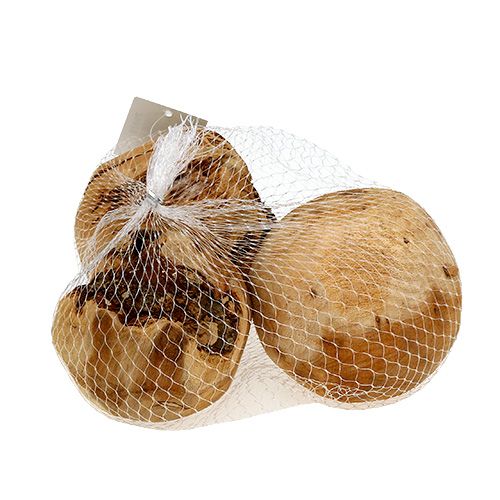 Floristik24 Houten bal dennenbol naturel Ø9cm 3 st